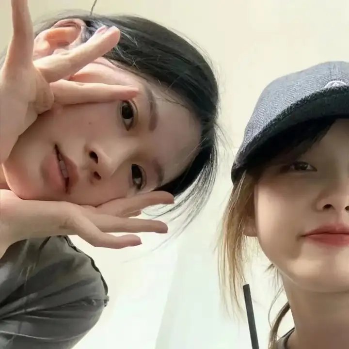 猫狗大战2